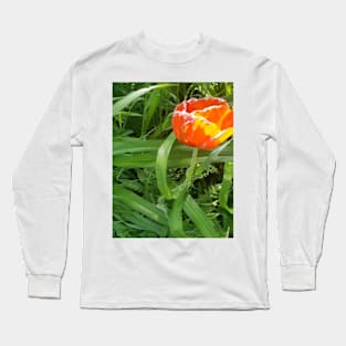 Poppy Blooming Long Sleeve T-Shirt